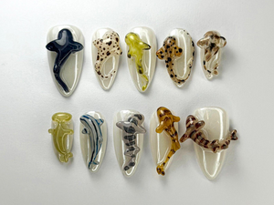 Deep Sea Shark Press On Nails | OC77L